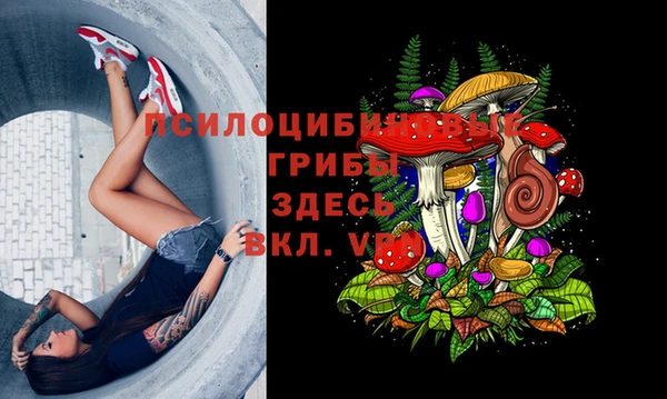 a pvp Абдулино