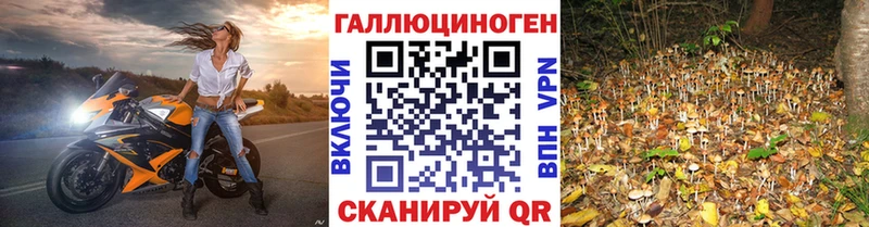 купить наркоту  Кяхта  Галлюциногенные грибы мицелий 